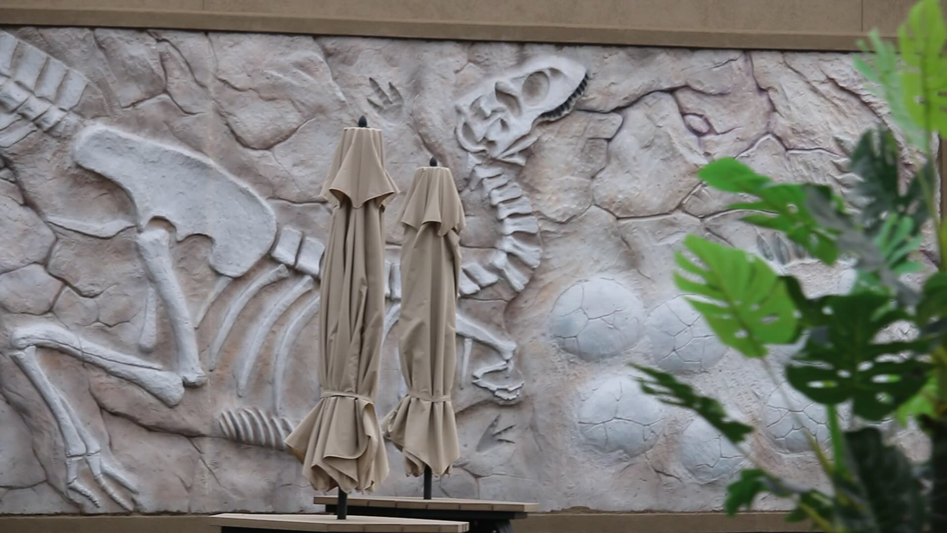 A wall with a dinosaur fossil on it