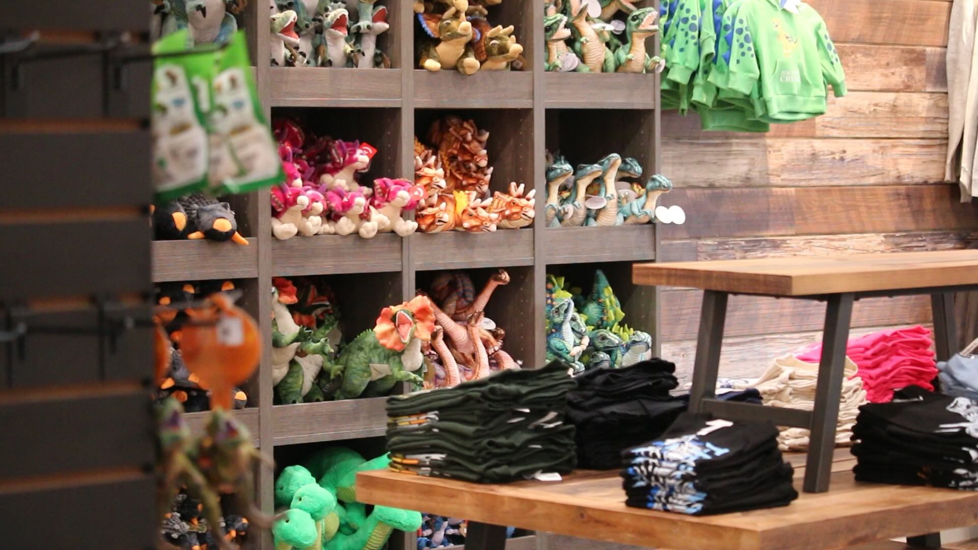 A close-up of shelves in a gift shop filled with dinosaur-themed products.